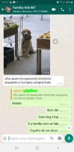 adestrador depoimento print 9