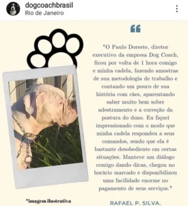 adestrador depoimento print 7