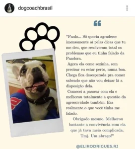 adestrador depoimento print 13