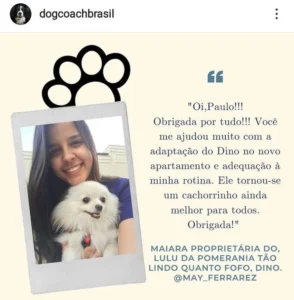 adestrador depoimento print 12